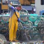 Cleaning Nets, Ullapool Harbour
