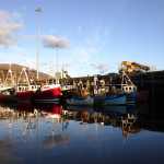 Boats Tied Up, Ullapool Harbour