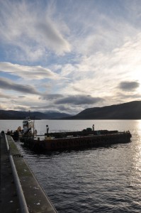 Approaching harbour